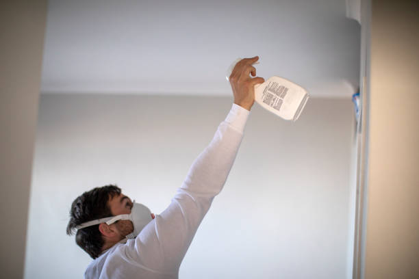 Best Kitchen Mold Remediation in Coson, OK