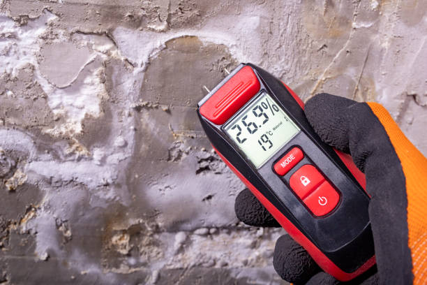 Best Black Mold Remediation in Coson, OK