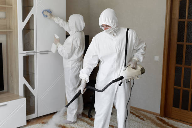 Best Basement Mold Remediation in Coson, OK
