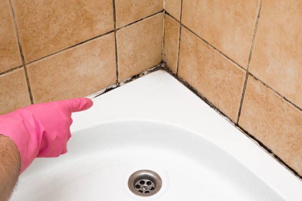 Best Post-Remediation Services in Coson, OK